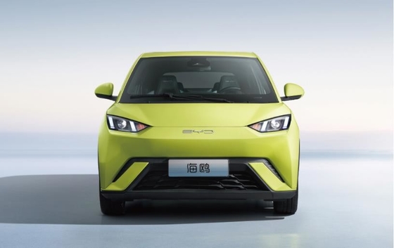 Auto familiare compatta BYD Pure Electric da 305 km