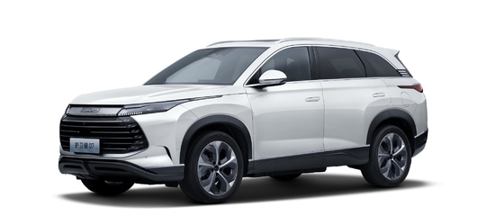 BYD ibrida 175KM a trazione integrale SUV di medie dimensioni città fregata 07