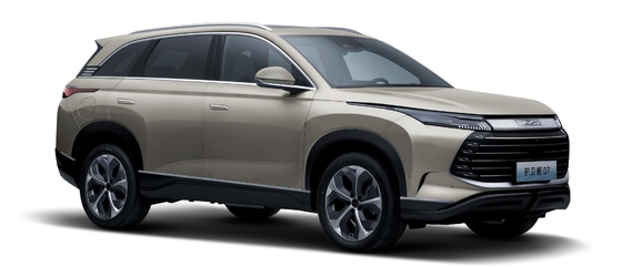 BYD ibrida 175KM a trazione integrale SUV di medie dimensioni città fregata 07