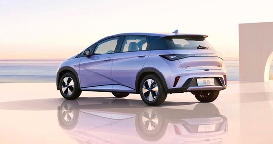 BYD Pure Electric Range 401KM Compact Popolare Domestica Car Dolphin
