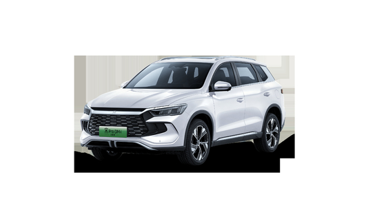 Campione delle vendite Range 110KM Excellent Hybrid BYD Song Pro Semi Champions Edition SUV