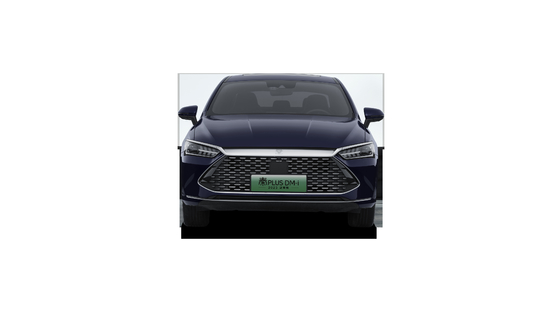 Prezzo Re delle Vendite Bella Super Ibrida Puro Autonomia elettrica 55KM BYD Qin Plus DMI Limousine elettrica