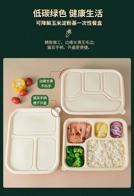 Degradazione, protezione dell'ambiente, salute e sicurezza, scatole per pranzo monouso