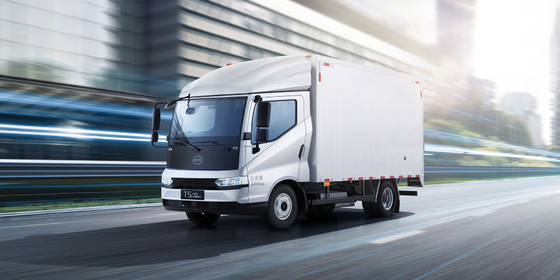 Specificativi del T5 HYBRID LIGHT TRUCK