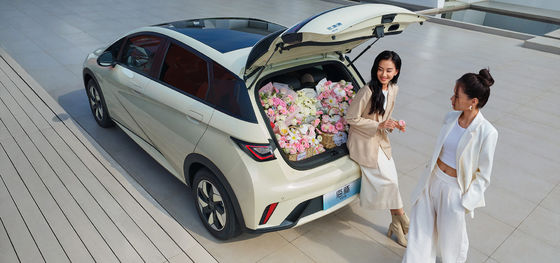 1.5L Cilindrata BYD Seal06 DM-i 120KM Leading Edition