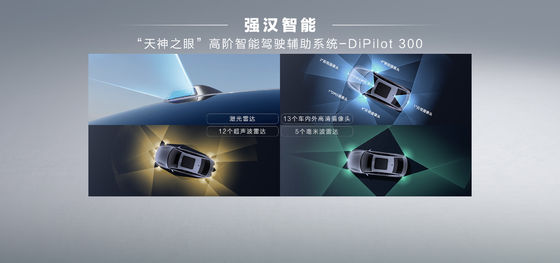 BYD Han EV edizione principale