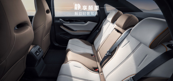 BYD Qin Plus DMI 102 km Leading Glory Edition
