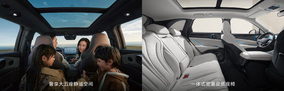 Fregata BYD07 100 km Tipo Elite