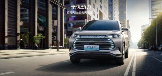 Fregata BYD07 100 km Tipo Elite