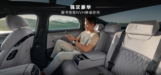 BYD Han DMI edizione principale