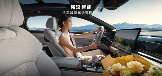 BYD Han DMI edizione principale