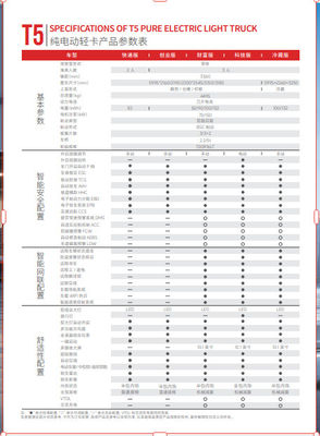 T5 PURO ELETRICO Camion leggero