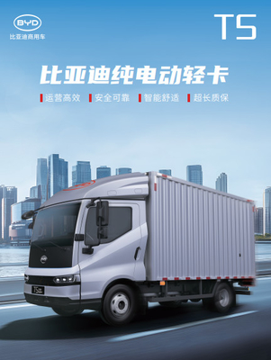 T5 PURO ELETRICO Camion leggero