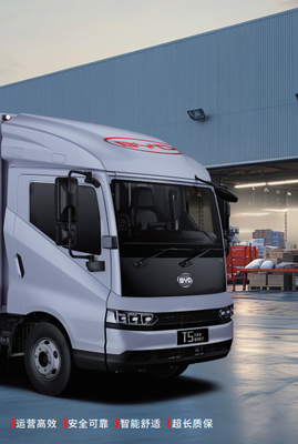 T5 PURO ELETRICO Camion leggero