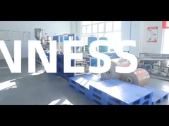 Degradazione, protezione dell'ambiente, salute e sicurezza, scatole per pranzo monouso