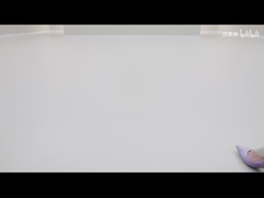 2025 420 km Dolphin Active Edition EV